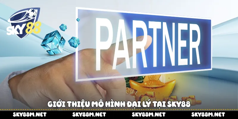 Giới thiệu mô hình đại lý tại Sky88