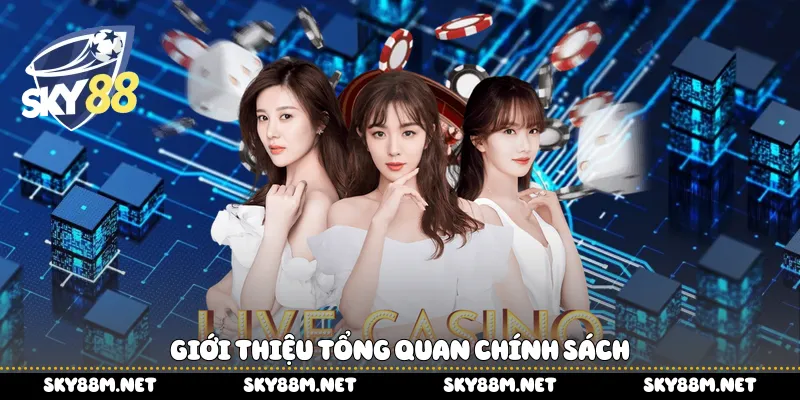 Giới thiệu tổng quan chính sách 