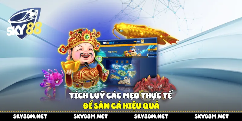 Tích luỹ các mẹo thực tế để săn cá hiệu quả